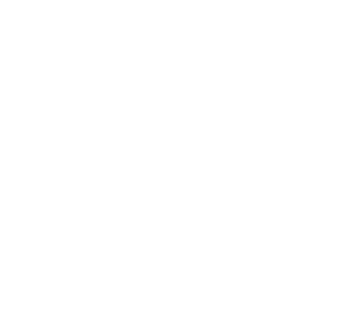 Vibe Group_White Logo